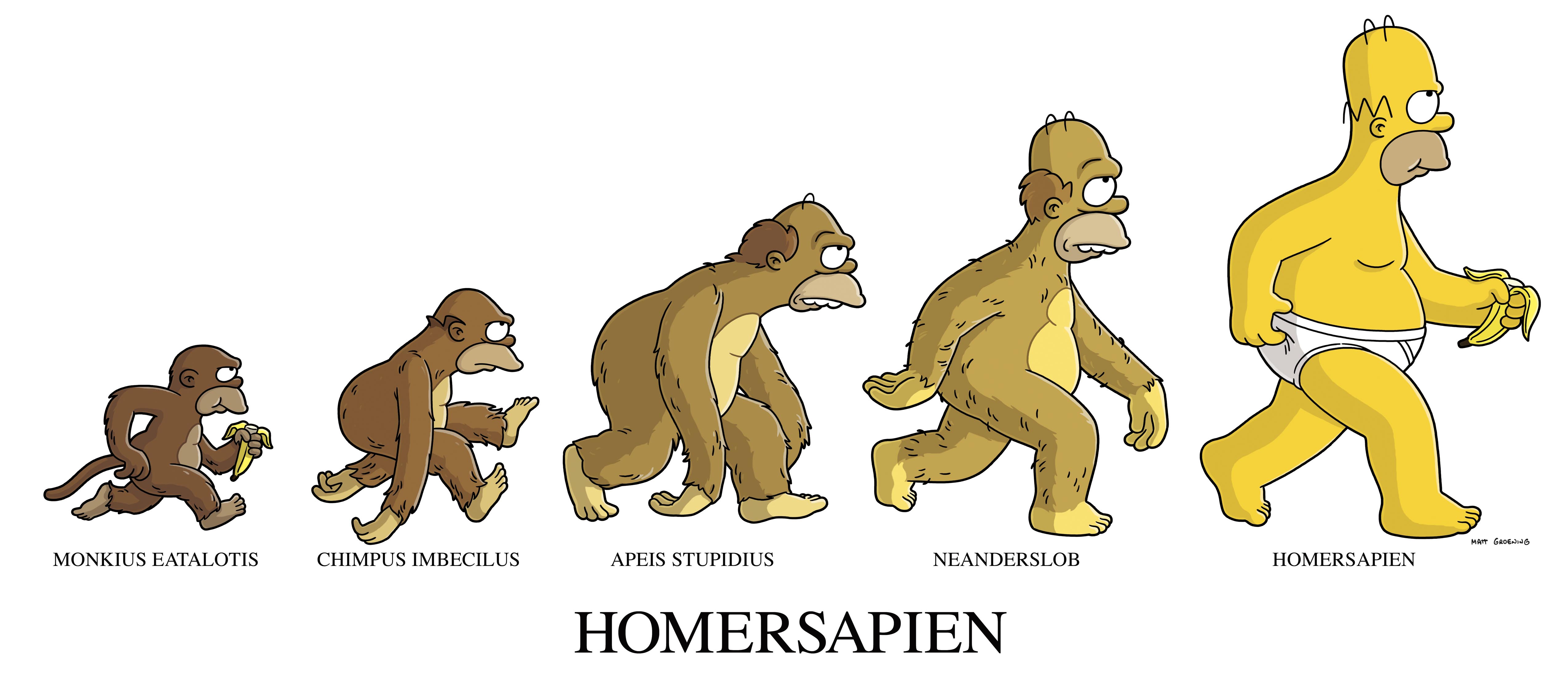 homersapien[1]